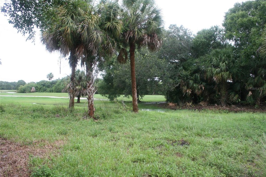 Photo of 176 Marker Road, Rotonda West, FL 33947 (MLS # O6288355)