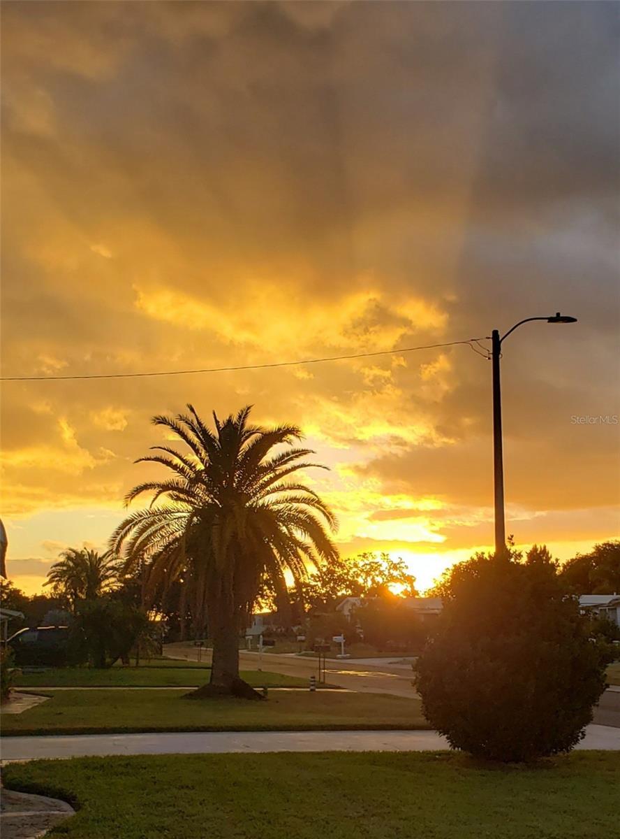 LAKE TARPON MOBILE HOME VILLAGE - Residential