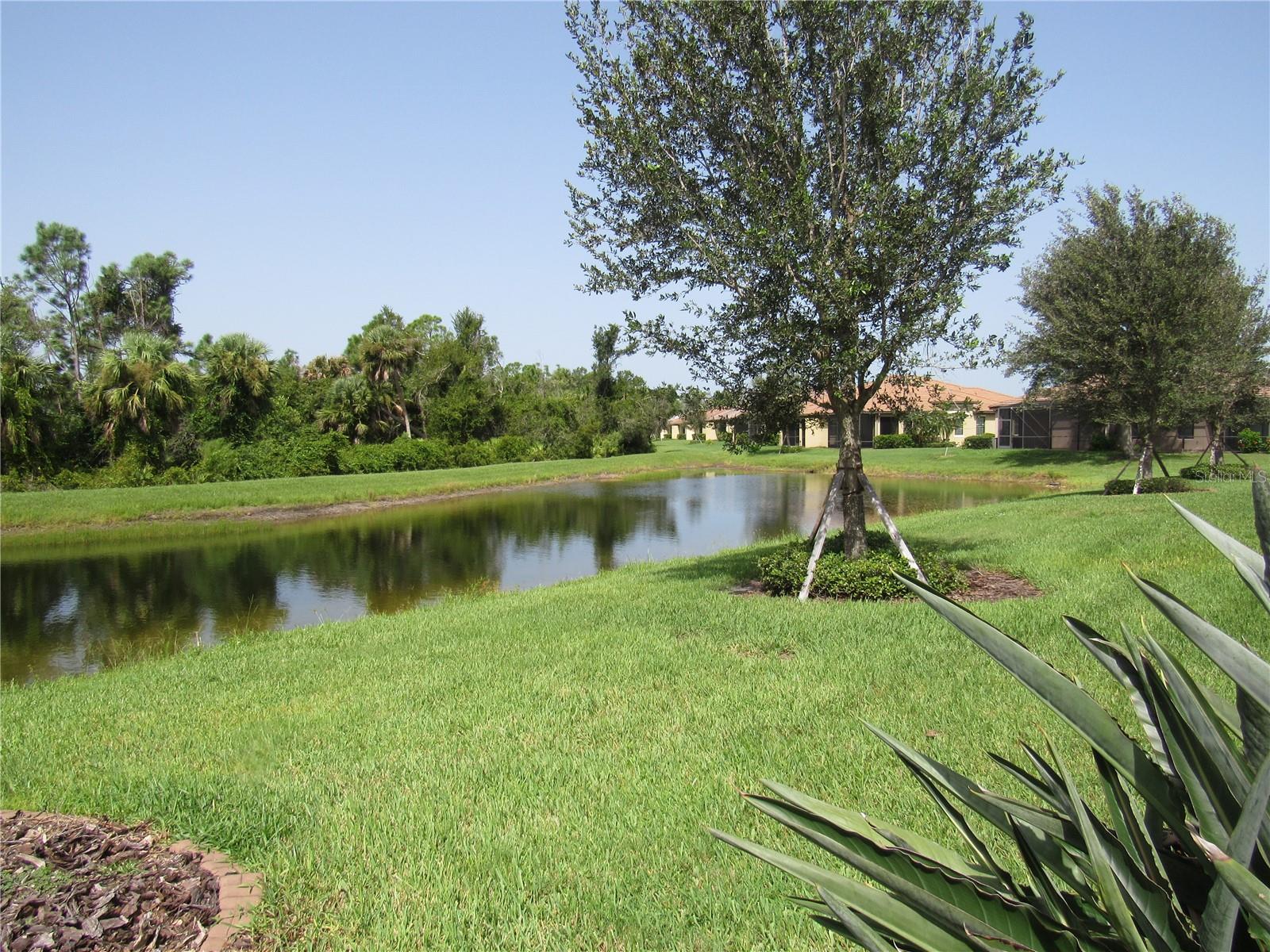 CYPRESS FALLS PH 1C - Residential