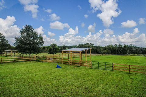 Tiny photo for 20765 SW 36th Street, Dunnellon, FL 34431 (MLS # OM707899)