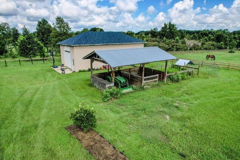 Tiny photo for 20765 SW 36th Street, Dunnellon, FL 34431 (MLS # OM707899)