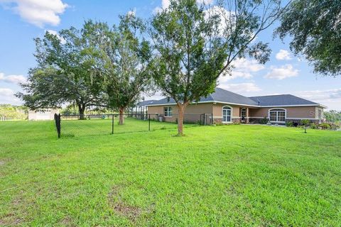 Tiny photo for 20765 SW 36th Street, Dunnellon, FL 34431 (MLS # OM707899)