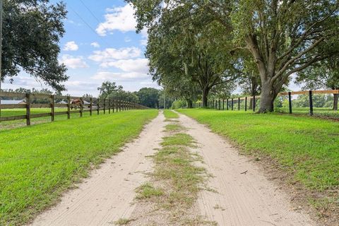 Tiny photo for 20765 SW 36th Street, Dunnellon, FL 34431 (MLS # OM707899)