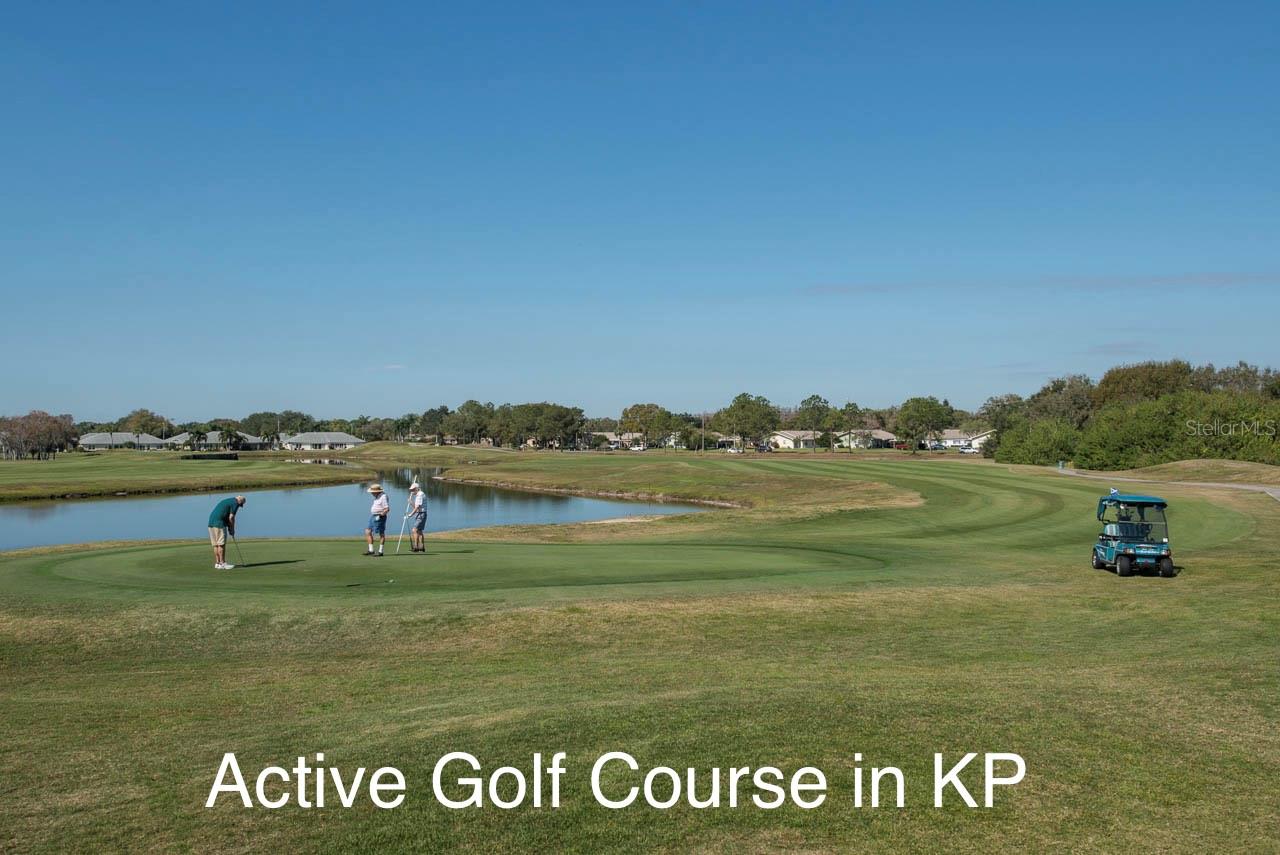 DORCHESTER D CONDO REVIS - Residential