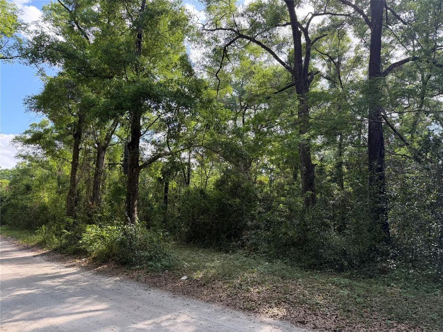 Build your dream home on this charming 1/4 acre lot located within the city limits of Chiefland. This versatile property is suitable for either a site-built or manufactured home, offering flexibility to fit your vision. Enjoy the convenience of hooking up to the city water and sewer, making your building process even easier. Tucked away on a quiet street in an established neighborhood, this lot provides a peaceful setting while still being close to local amenities. The property backs up to the scenic Nature Coast State Trail, perfect for outdoor enthusiasts who enjoy walking, biking, and nature right in their backyard.
