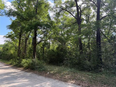 Photo of 1410 NW 10th Street, Chiefland, FL 32626 (MLS # GC539408)