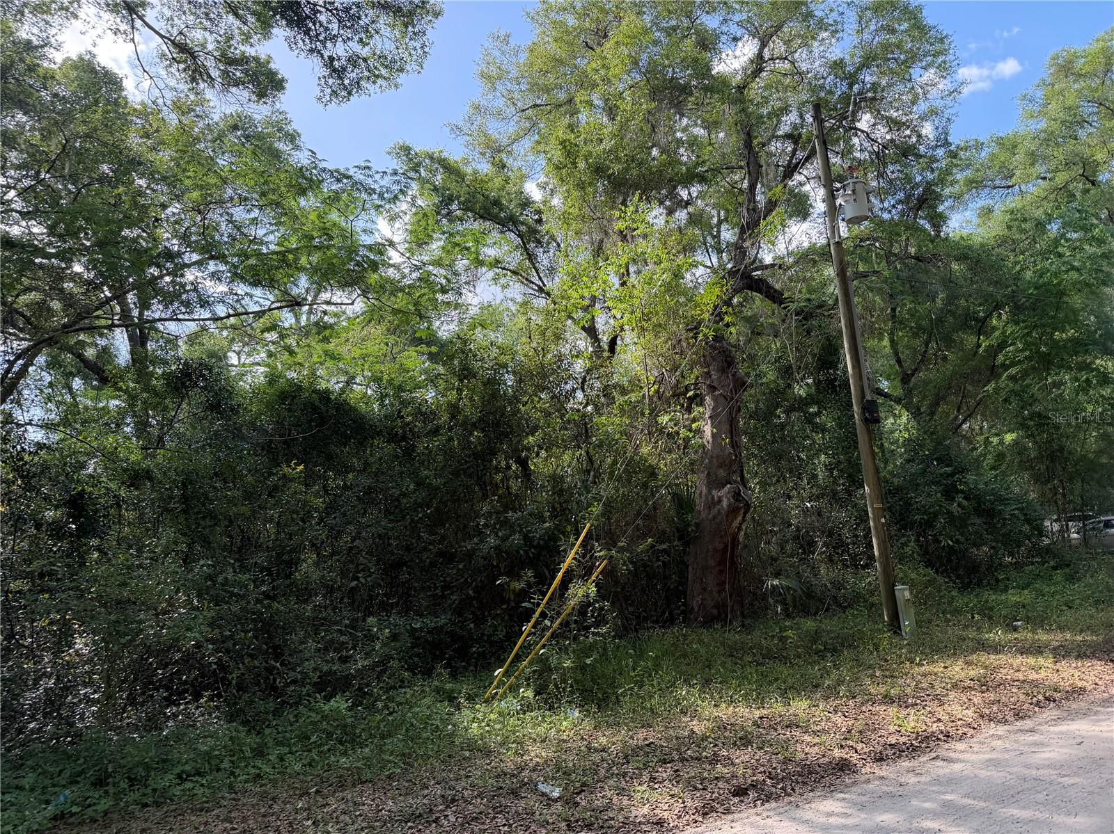 MCKENZIES ADD - Land