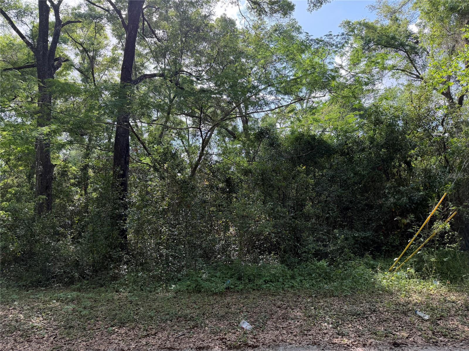 MCKENZIES ADD - Land