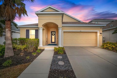 A home in APOLLO BEACH