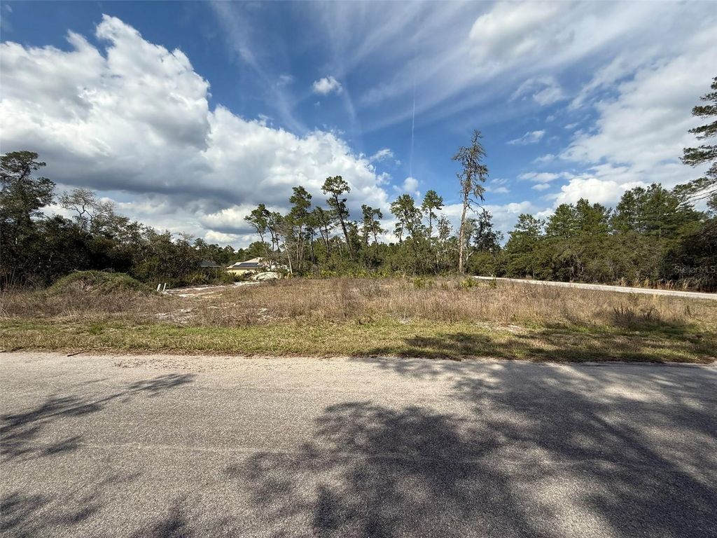 Photo of 189 Fisher Court, Ocklawaha, FL 32179 (MLS # O6368726)