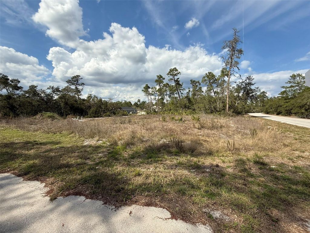 Photo of 189 Fisher Court, Ocklawaha, FL 32179 (MLS # O6368726)