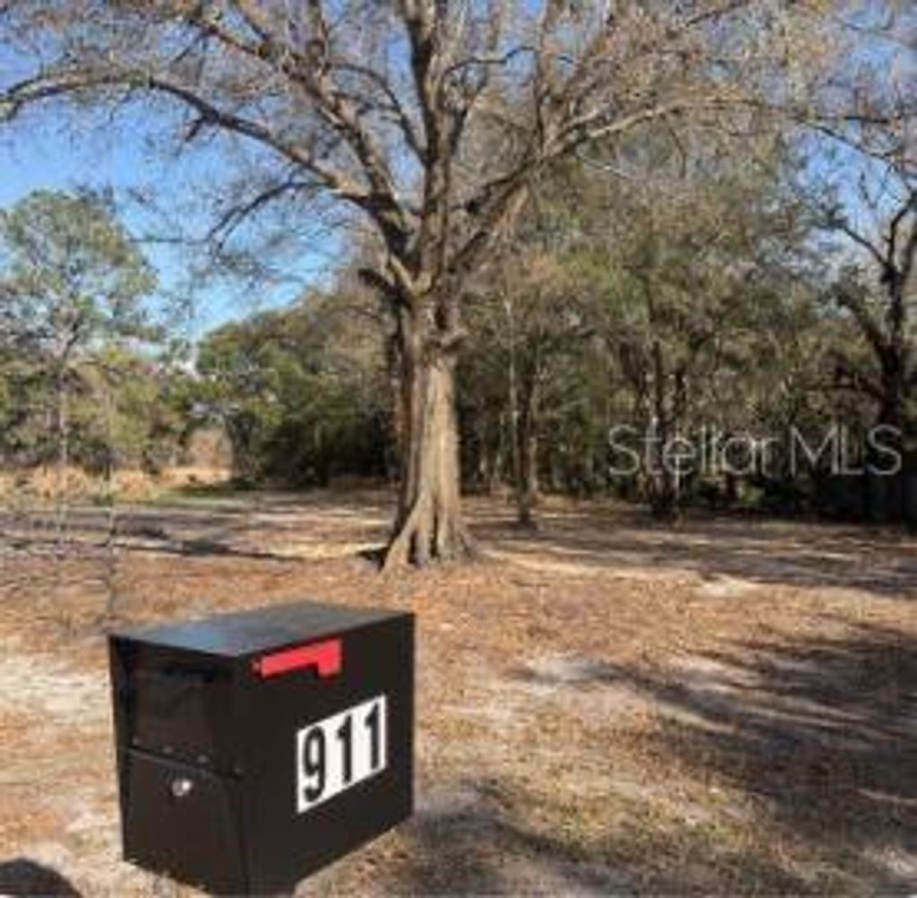 Photo of 911 Marshall Farms Road, Ocoee, FL 34761 (MLS # O6395466)