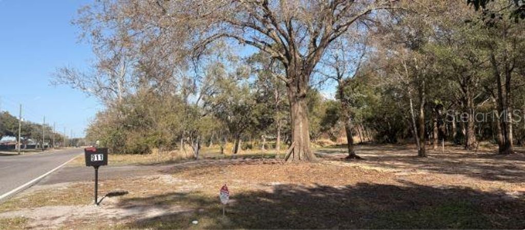 Photo of 911 Marshall Farms Road, Ocoee, FL 34761 (MLS # O6395466)