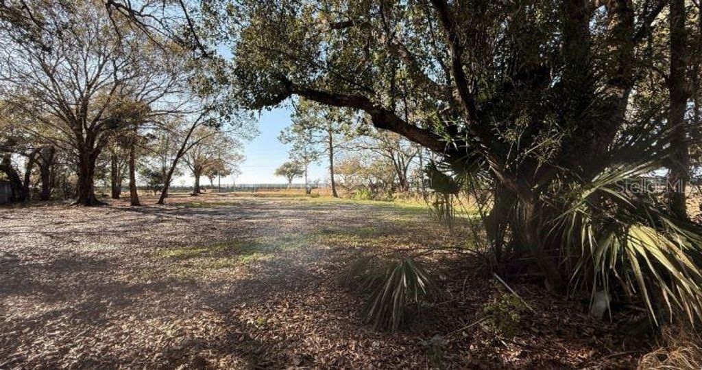 Photo of 911 Marshall Farms Road, Ocoee, FL 34761 (MLS # O6395466)