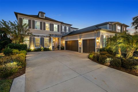 14822 TRAILS EDGE BOULEVARD ODESSA FL 33556