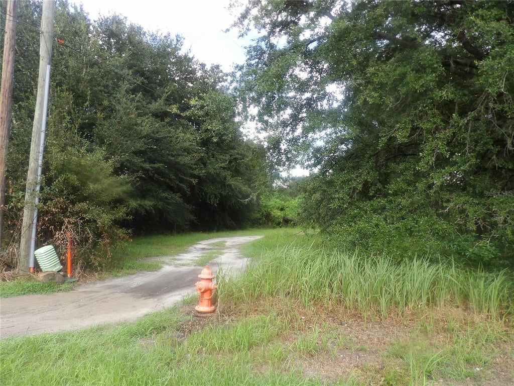 Photo of Cain, Mulberry, FL 33860 (MLS # TB8551431)