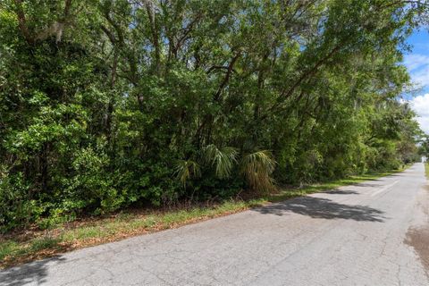 Tiny photo for 2322 W Main Street, Inverness, FL 34452 (MLS # OM722700)