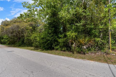 Tiny photo for 2322 W Main Street, Inverness, FL 34452 (MLS # OM722700)