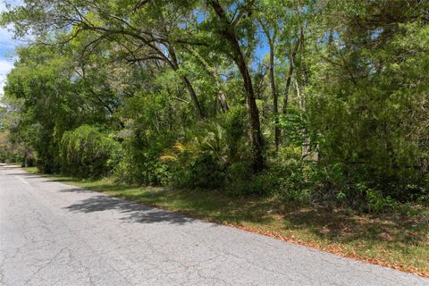 Tiny photo for 2322 W Main Street, Inverness, FL 34452 (MLS # OM722700)