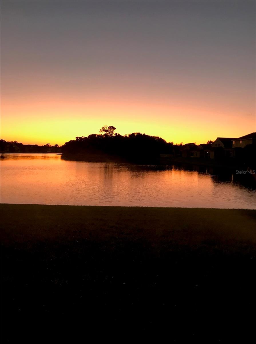 SILVERLAKE - Residential