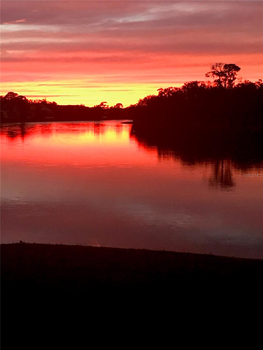 SILVERLAKE - Residential