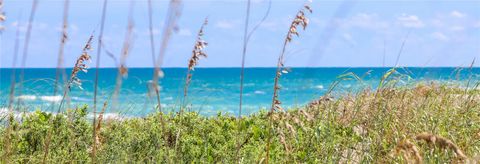 A home in PALM COAST