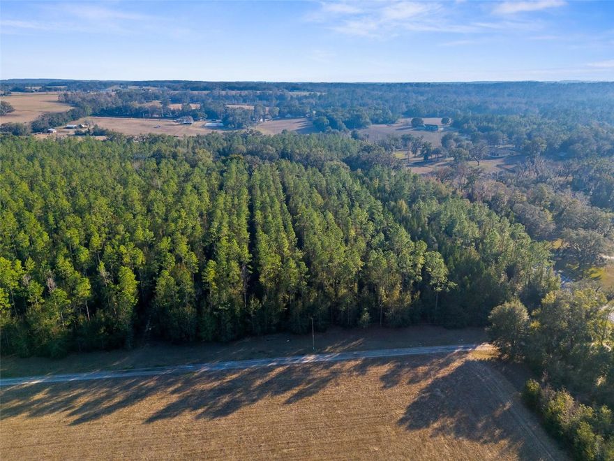 11.7 Acres of Pristine Land – Build Your Dream Home!
& Seize this rare opportunity to own 11.7 acres of breathtaking, high-and-dry land, perfect for creating your custom dream home, vacation retreat, or investment property. This exceptional lot offers the perfect balance of privacy, tranquility, and convenience, nestled in a prime location with easy access to major highways.

2 Parcels available for individual sale [W7871808] & [W7871809]

Prime Location:

Situated on paved CR-541
Minutes from HWY 50, US-98, and I-75
Just 55 minutes to Tampa International Airport
Come experience the beauty of this land firsthand and start planning your future today!