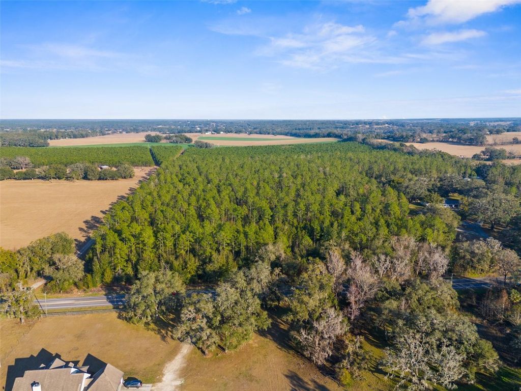 Photo of 9999 Spring Lake Hwy, Brooksville, FL 34601 (MLS # W7872970)