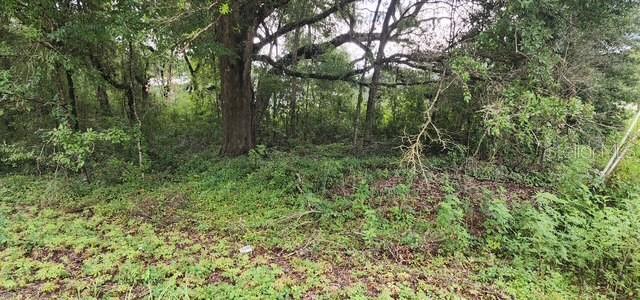 Lot 27 SW 111TH LANE