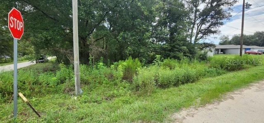 Photo of 27 SW 111th Lane, Dunnellon, FL 34432 (MLS # OM708104)