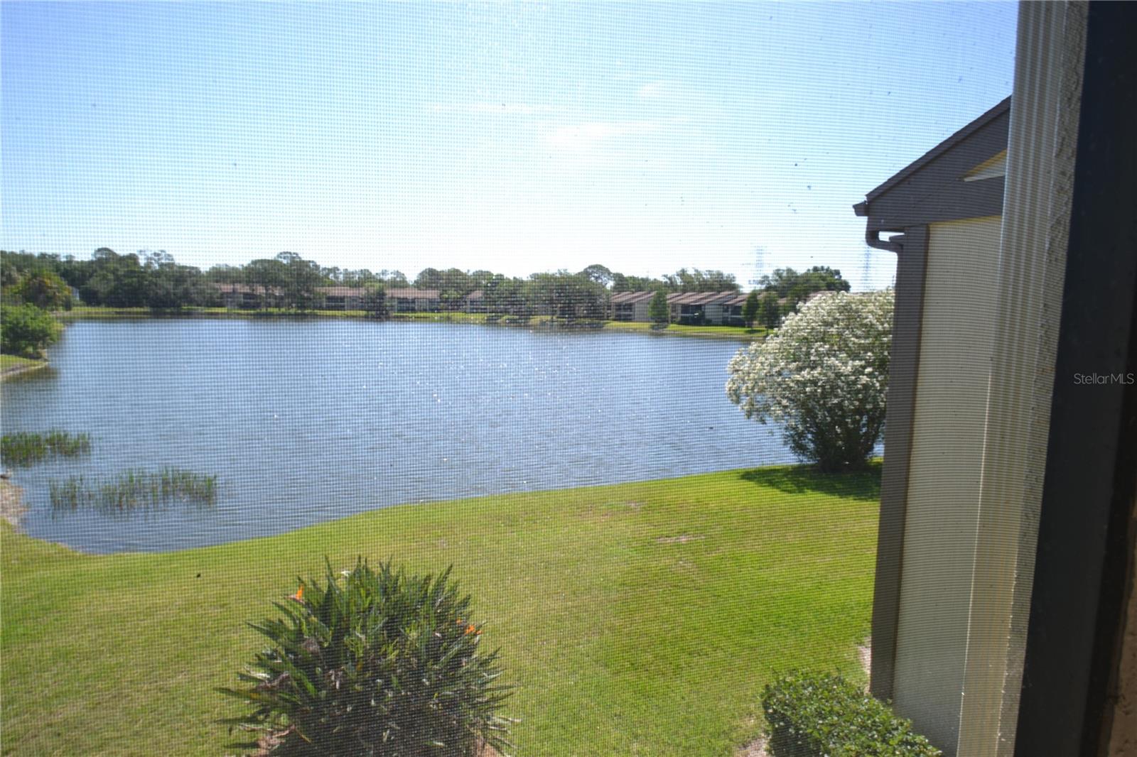 EAST LAKE WOODLANDS WOODLAKE RUN - Residential Lease