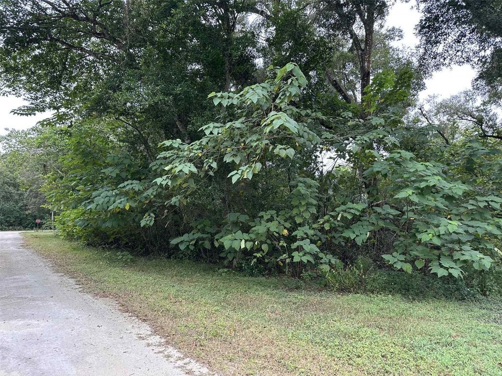 Photo of Jenkins Avenue, Brooksville, FL 34604 (MLS # TB8436083)