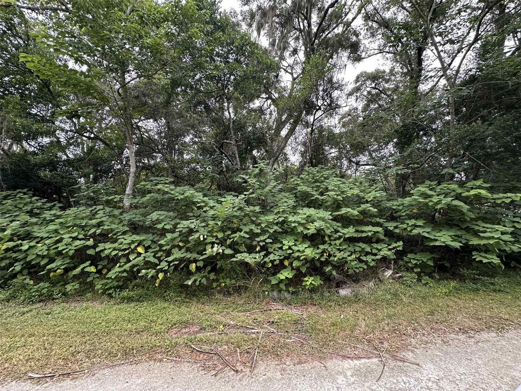 Photo of Jenkins Avenue, Brooksville, FL 34604 (MLS # TB8436083)