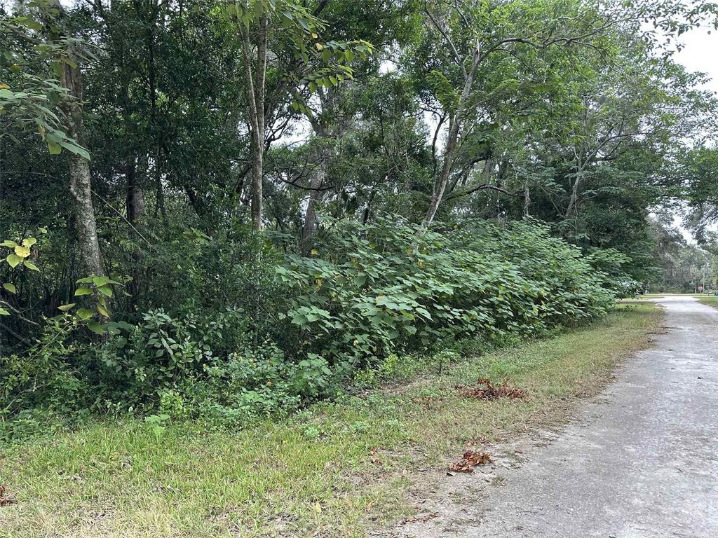 Photo of Jenkins Avenue, Brooksville, FL 34604 (MLS # TB8436083)
