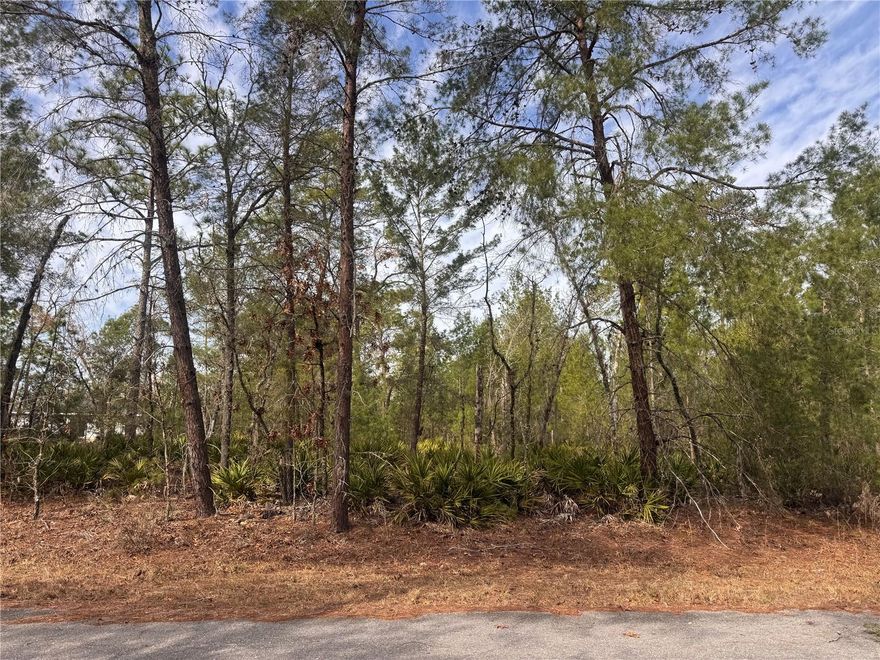 Build-ready residential lot located in Silver Springs Shores Unit 35. This 0.23-acre parcel offers 80 feet of frontage and is zoned R-1 for single-family residential use. Situated on a paved road with nearby utilities and outside of flood zones (Flood Zone X). Convenient access to SR-464, shopping, dining, and outdoor recreation. Ideal for a custom home or future investment. Buyer to verify utility connections, building requirements, and land use.