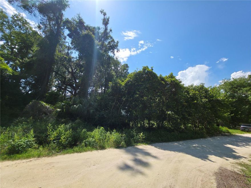 Build your dream home on this spacious .22-acre lot in beautiful Belleview, FL! With approximately 75 feet of road frontage, this residential lot offers plenty of room for your future home design. Located in a non-flood zone for added peace of mind. Enjoy the freedom of a quiet neighborhood while still being close to schools, shopping, and local amenities. Don’t miss this opportunity to create the home you’ve always wanted!