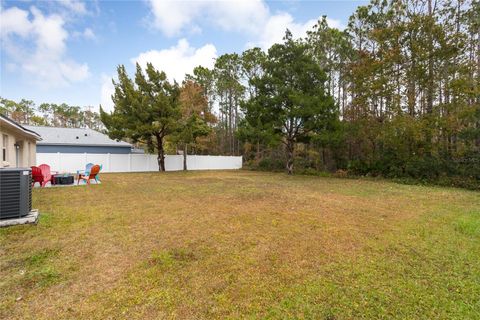 A home in PALM COAST