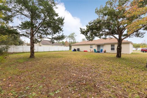 A home in PALM COAST