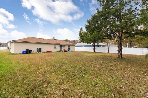 A home in PALM COAST