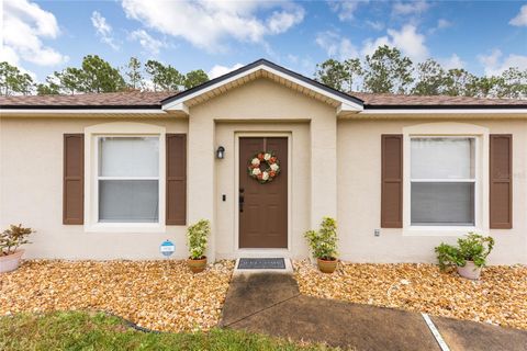 A home in PALM COAST