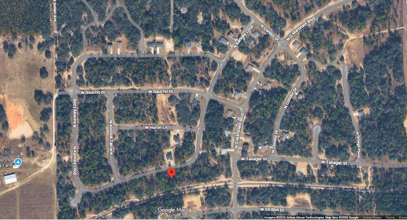 11345 N KENNEY LOOP