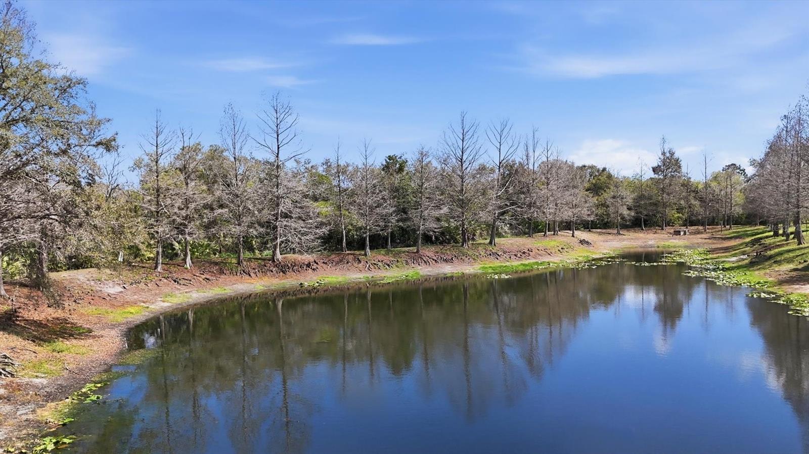 9038 WHITE SAGE LOOP, LAKEWOOD RANCH, FL, 34202 3 9038 WHITE SAGE LOOP