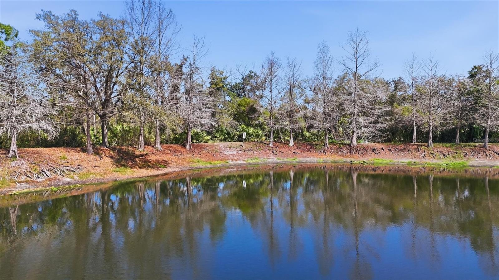 WILLOWBROOK PH 9 - Residential