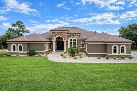 Tiny photo for 5061 W Oakhill Street, Dunnellon, FL 34433 (MLS # TB8482282)