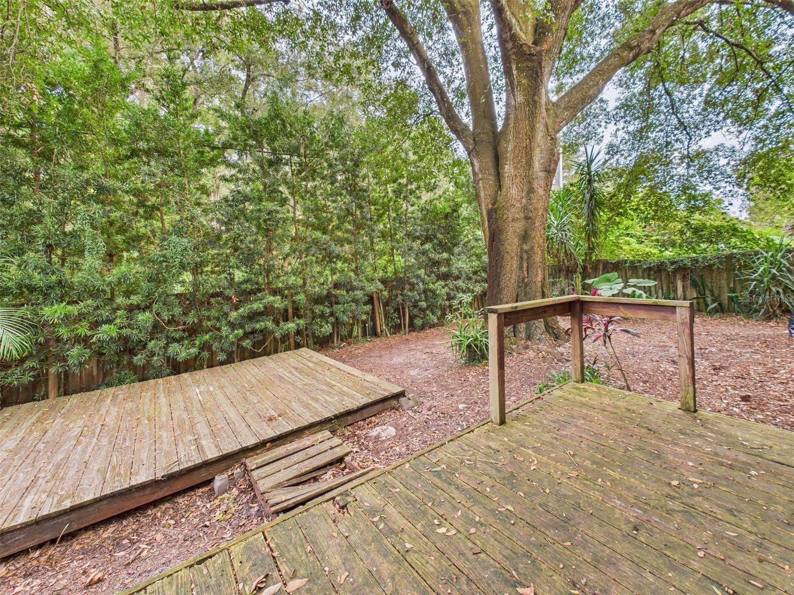 MOUNT DORA DONNELLY VILLAGE - Residential