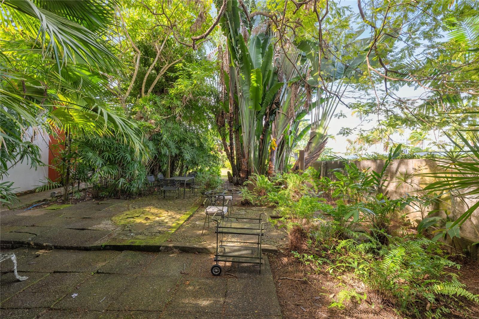 VILLA CAPARRA NORTE - Residential