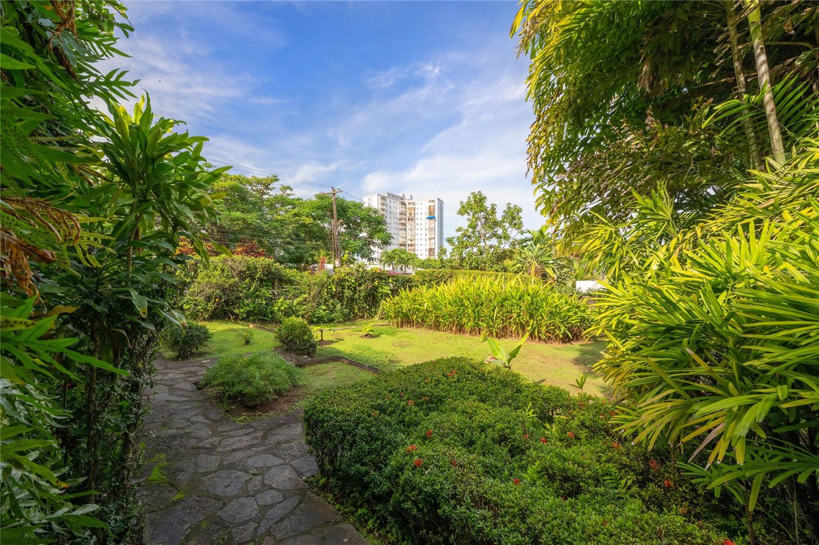 VILLA CAPARRA NORTE - Residential