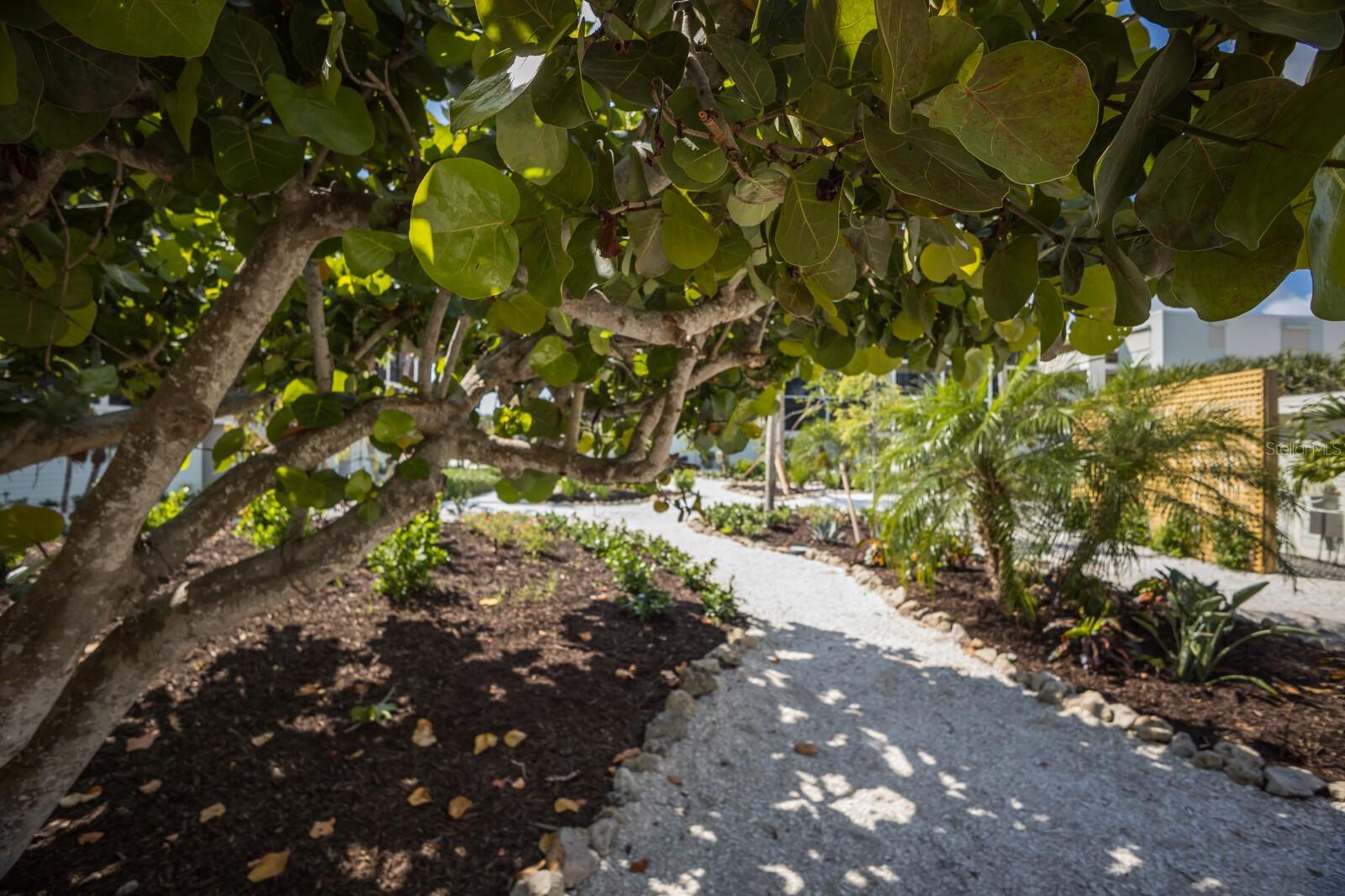 SEA OATS BLDG B - Residential