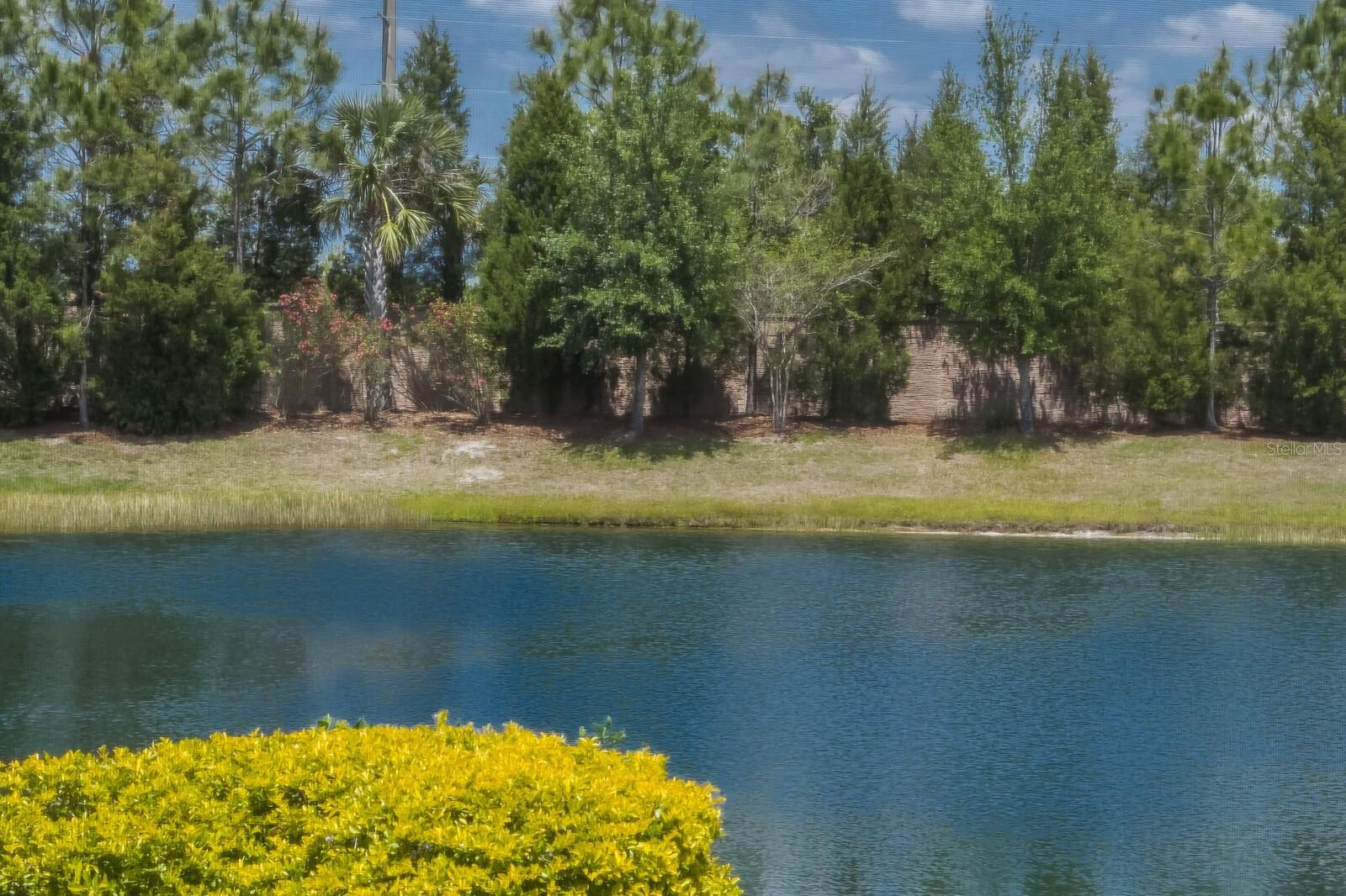 DEL WEBB PH I-B SUBPHASES D & F - Residential