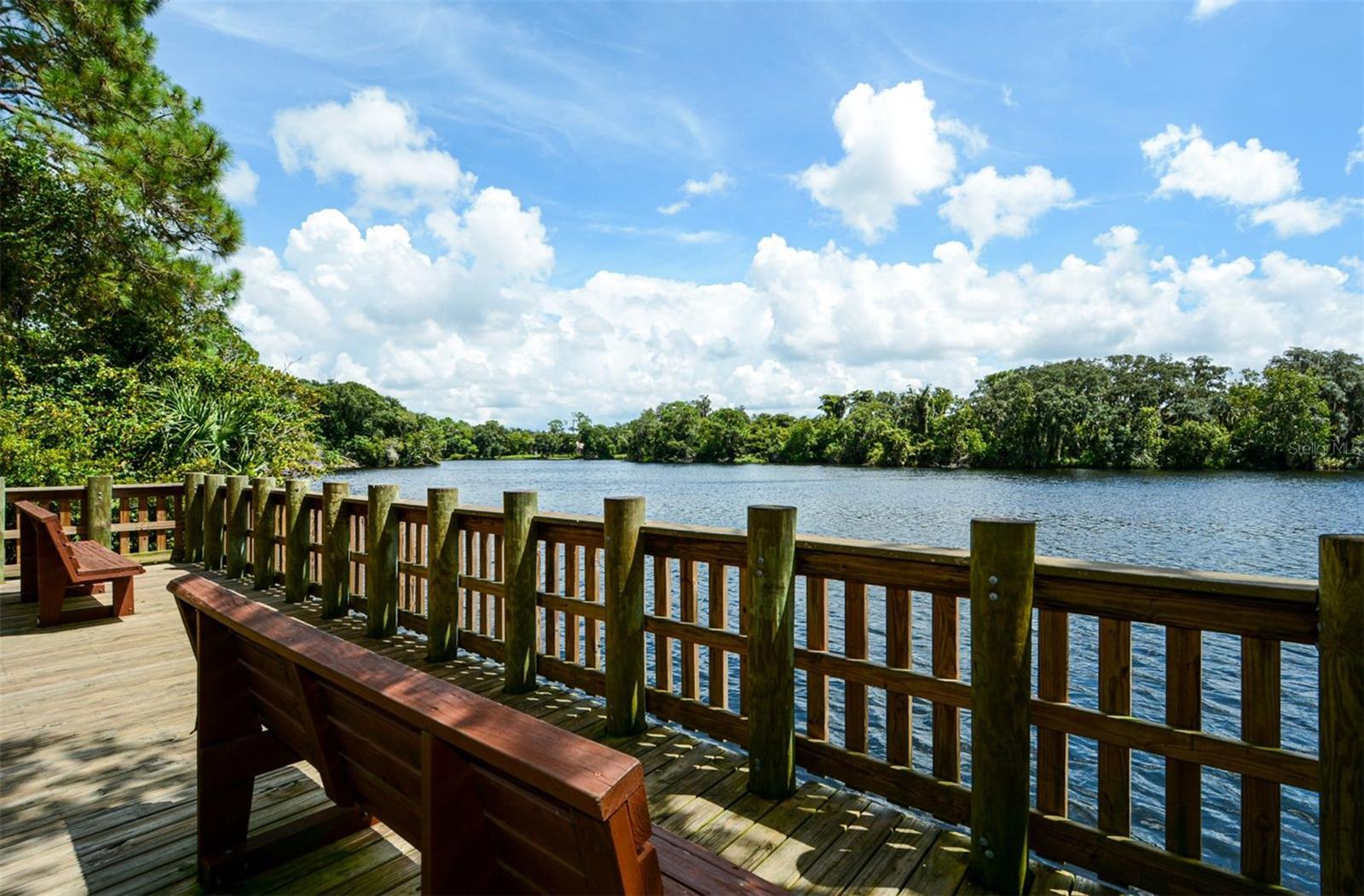 TREYMORE AT THE VILLAGES OF PALM-AIRE - Residential